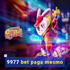 9977 bet paga mesmo